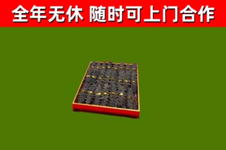 弥渡回收海参